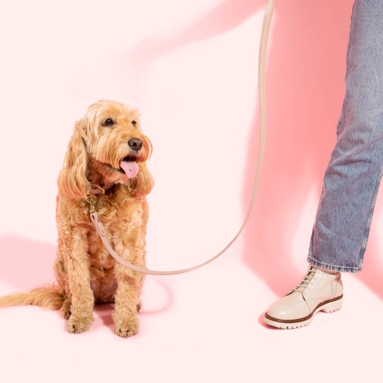 Dog Lead in Pink