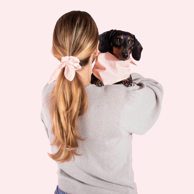 Dog Bandana and Scrunchie Set in Pink