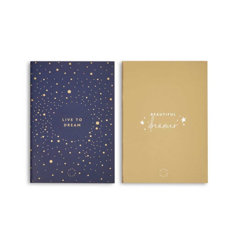 Duo Pack Notebooks | Navy and Gold