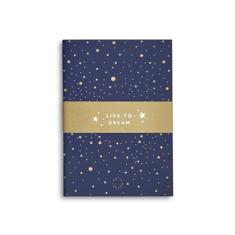 Duo Pack Notebooks | Navy and Gold