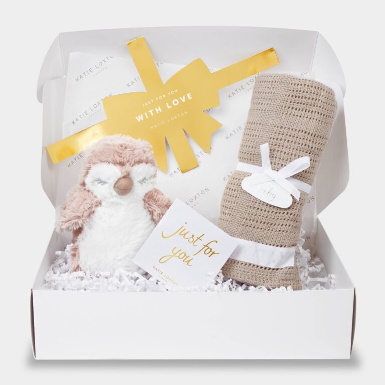 ﻿'Owl' Baby Gift Box