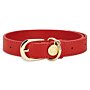 Collar 'I'm Paw-fect' in Red M/L