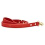 Lead 'Paw-fect Walkies' in Red
