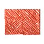 Zebra Scarf in Coral And Gold